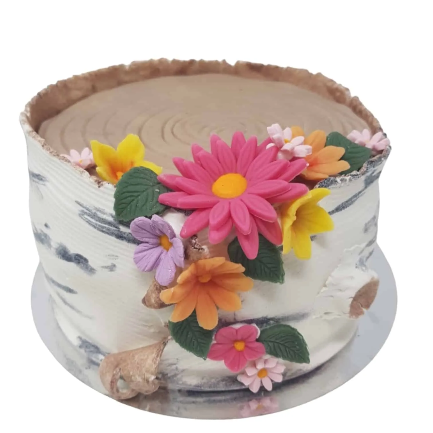 Bjørkekake fargerik