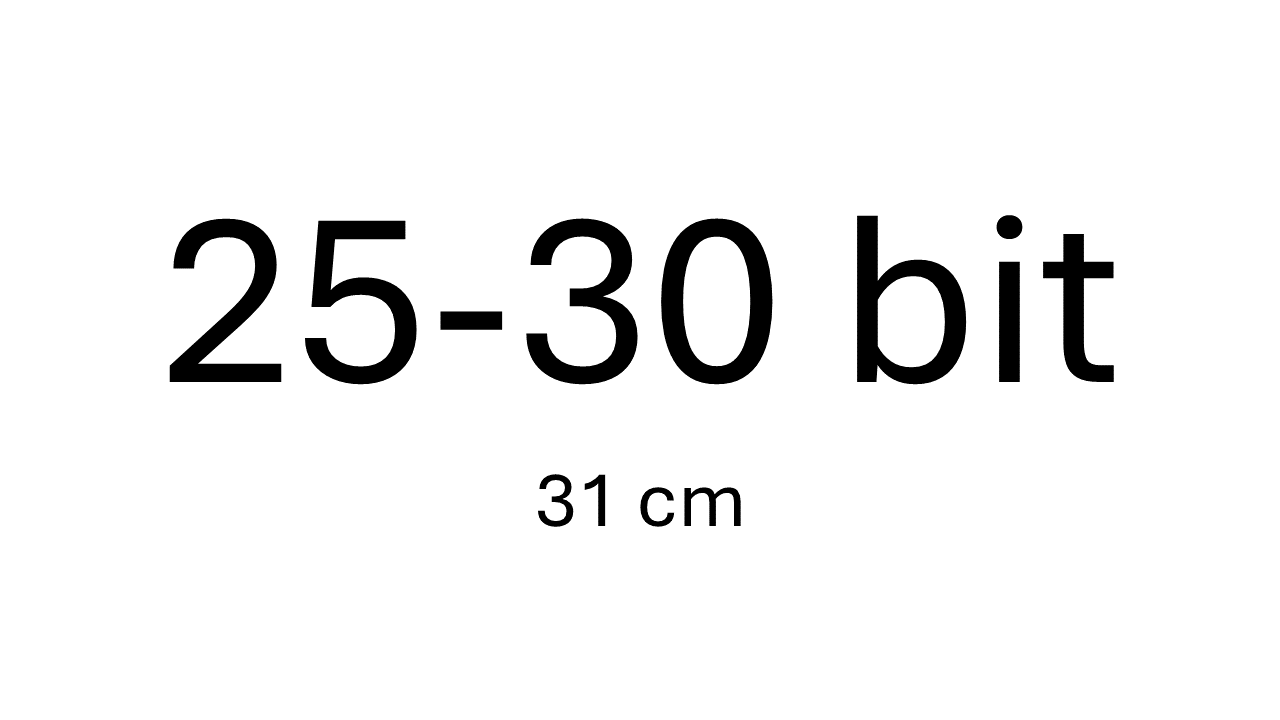 25-30 biter (31cm)