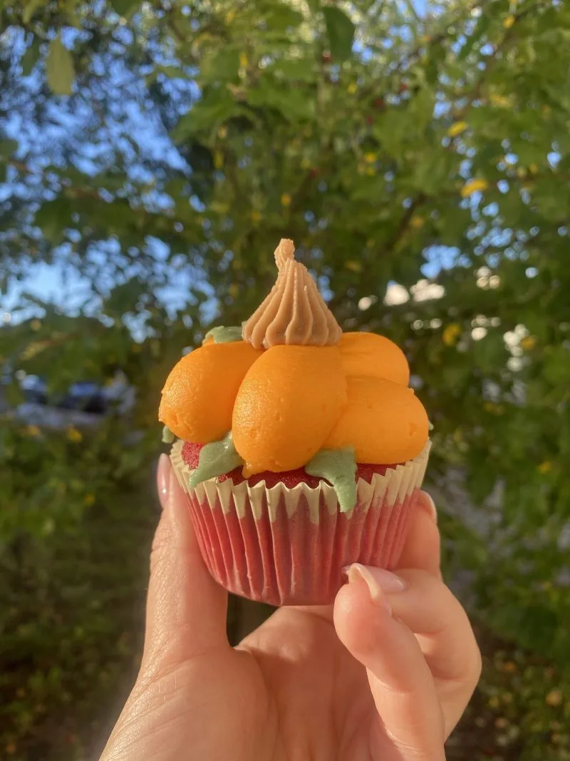 Pumpkin cupcake 6pk