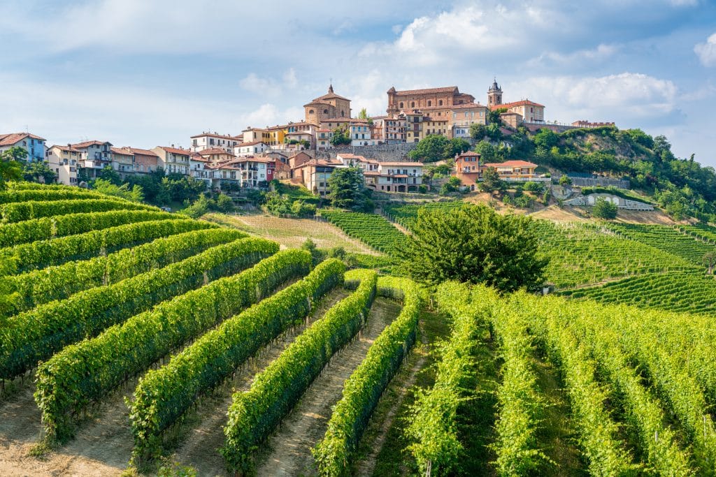 En smak av Piemonte hos Aanerud Bakeri (Vinsmaking) - Dato 26.09 utsolgt! Venteliste