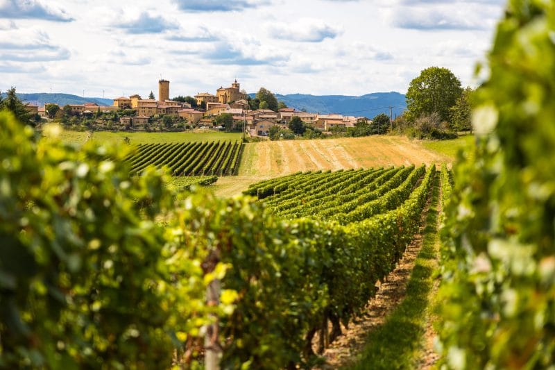 C´est arrivé - smaking av årets ferske Beaujolais viner (Vinsmaking) - Dato 20.11